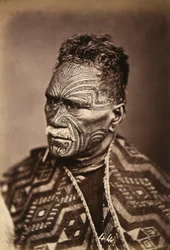 Portræt af en maori med tatoveret ansigt, ca.1886-88